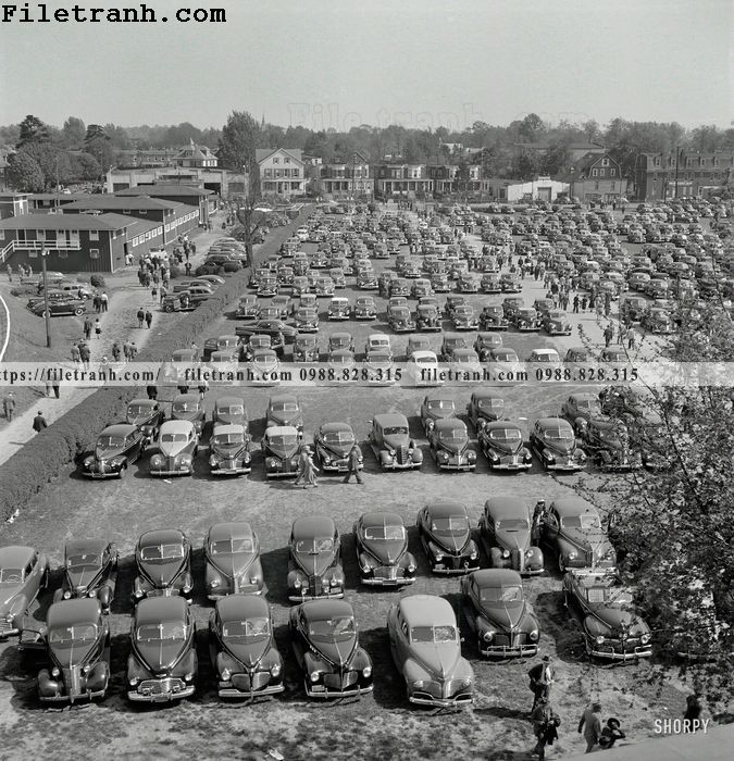 https://filetranh.com/tuong-nen/a-crowded-field-1943.html